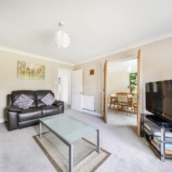 Thumbnail Image 1