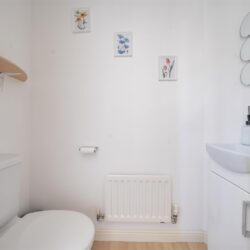 Thumbnail Image 7