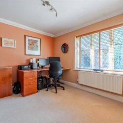 Thumbnail Image 11