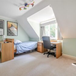 Thumbnail Image 16