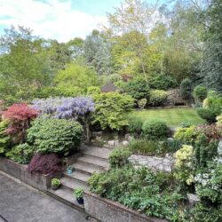 Thumbnail Image 20