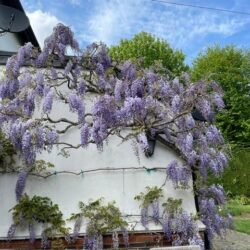 Thumbnail Image 24