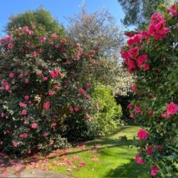 Thumbnail Image 25