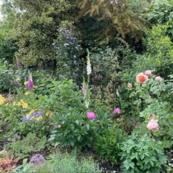 Thumbnail Image 26