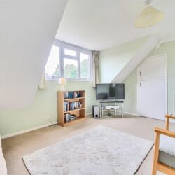 Thumbnail Image 12