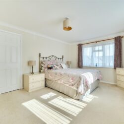 Thumbnail Image 12