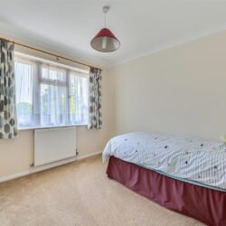 Thumbnail Image 16