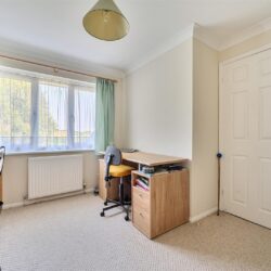 Thumbnail Image 17
