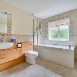 Thumbnail Image 12