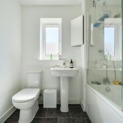 Thumbnail Image 13