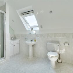 Thumbnail Image 11