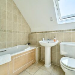 Thumbnail Image 15
