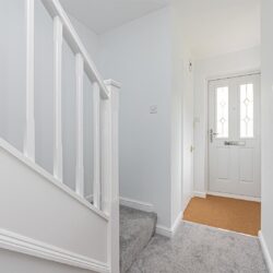 Thumbnail Image 14