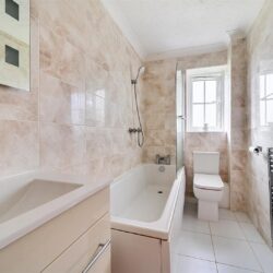 Thumbnail Image 14