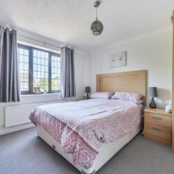 Thumbnail Image 12