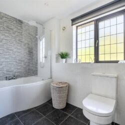 Thumbnail Image 15