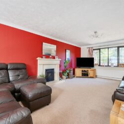 Thumbnail Image 1