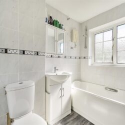 Thumbnail Image 14