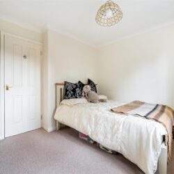 Thumbnail Image 10