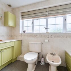 Thumbnail Image 27