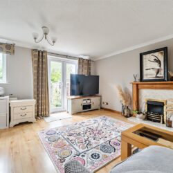 Thumbnail Image 1
