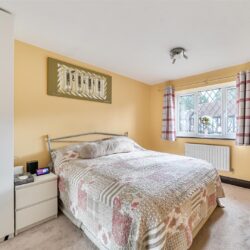 Thumbnail Image 12