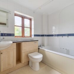 Thumbnail Image 12