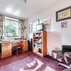 Thumbnail Image 17