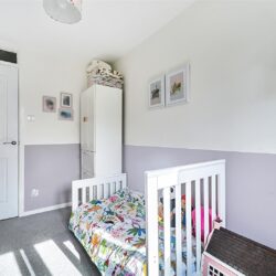Thumbnail Image 13