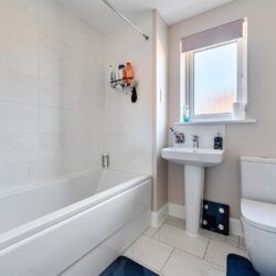 Thumbnail Image 17