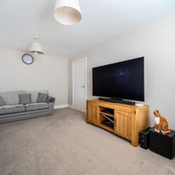 Thumbnail Image 3