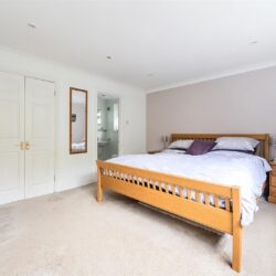 Thumbnail Image 12