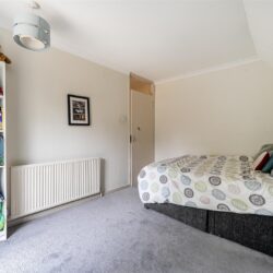 Thumbnail Image 12
