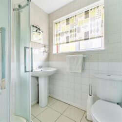 Thumbnail Image 10