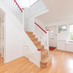 Thumbnail Image 11