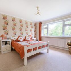 Thumbnail Image 16