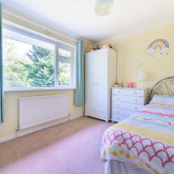 Thumbnail Image 17