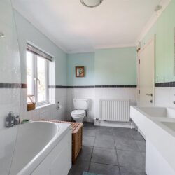 Thumbnail Image 12