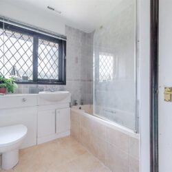 Thumbnail Image 10