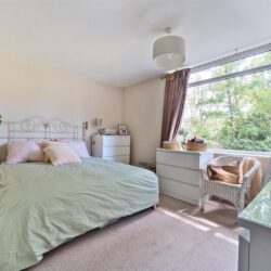 Thumbnail Image 13