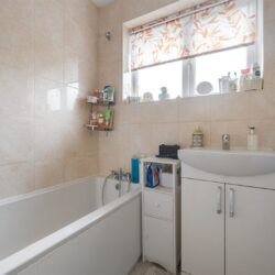 Thumbnail Image 12