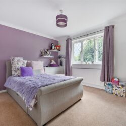 Thumbnail Image 13