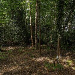 Thumbnail Image 23