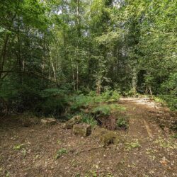 Thumbnail Image 31