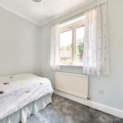 Thumbnail Image 19