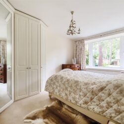 Thumbnail Image 12