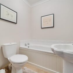 Thumbnail Image 15
