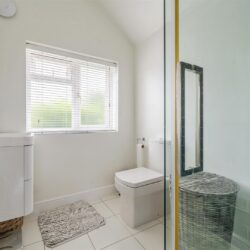 Thumbnail Image 14