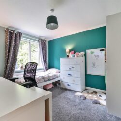 Thumbnail Image 12