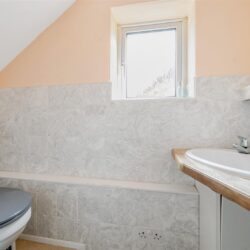 Thumbnail Image 10